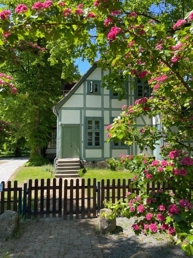 Jagdschloss Friedrichsmoor Neustadt-Glewe Ngoại thất bức ảnh